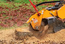How Our Tree Care Process Works  in  Clinton, IL